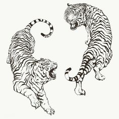 Black And White Back Tattoo, White Back Tattoo, Hase Tattoos, Tiger Black And White, Tiger Outline, White Tiger Tattoo, Art Tigre, Japanese Tiger Tattoo, Tiger Black