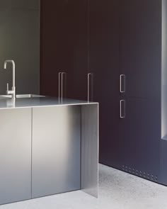 a stainless steel sink and cabinet in a room with dark colored walls, floor to ceiling cabinets