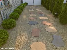 a path made out of stones in the middle of a gravel area next to a house