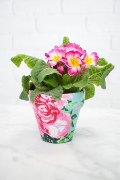 pink and yellow flowers are in a flower pot