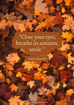 autumn leaves with a quote about close your eyes, breathe in autumn, smile