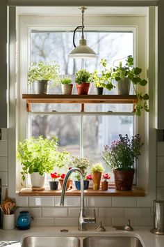 a kitchen sink under a window filled with potted plants