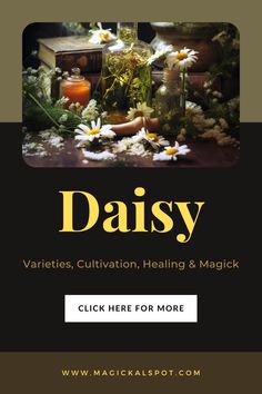 Delve into the delightful world of daisies with our comprehensive article. Learn about the different varieties, tips for cultivation, their healing properties, and how to utilize their magic in your spiritual practice. Perfect for green witches and flower enthusiasts alike. 🌼🌱✨ #DaisyMagic #FloralWitchcraft #HealingFlowers #MagicalGardening #WitchcraftHerbology Healing Flowers, Magical Herbs, Pagan Altar, Green Witch