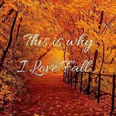 an image of a path that has leaves on it and the words, this is why i love fall