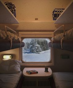 there are two bunk beds in this small room with snow on the ground and trees outside