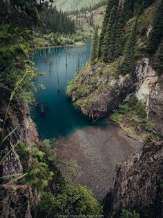 an aerial view of a lake surrounded by trees