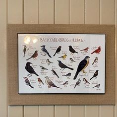 a group of birds sitting on top of a wooden table next to a white wall