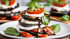 a white plate topped with grilled eggplant, tomatoes and mozzarella