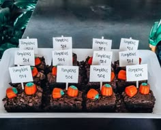 there are many brownies with pumpkins on them in the box and price signs