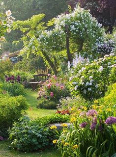 a garden filled with lots of different types of flowers and plants next to a bench