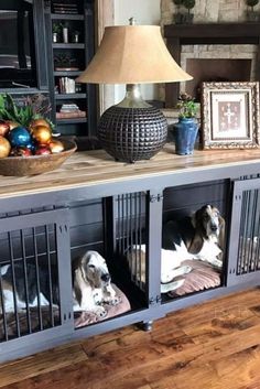 two dogs are sitting in their kennels on the floor next to a lamp