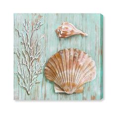 two seashells and seaweed on a blue wooden background framed in white frame