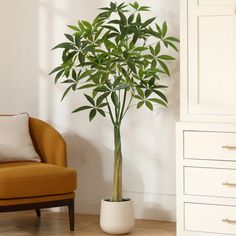 a living room with a chair and a potted plant