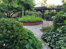 a garden filled with lots of plants next to a lush green tree and shrubbery