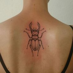 a beetle tattoo on the back of a woman's shoulder