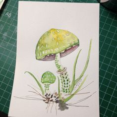 a drawing of a green mushroom on paper