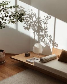 a living room with a couch, coffee table and potted plant in the corner