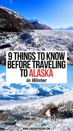 9 Things to Know Before Traveling to Alaska in Winter Alaska Trips, Alaskan Vacation, Barrow Alaska, Alaska Cruise Tips, Alaska Adventures