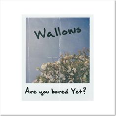 a polaroid photo with the words wallows are you bored yet? on it