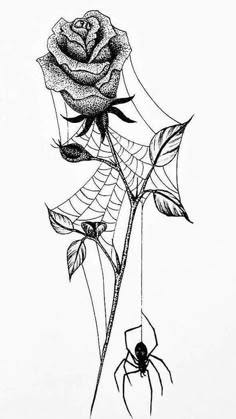 a drawing of a rose with a spider on it's web, in black and white