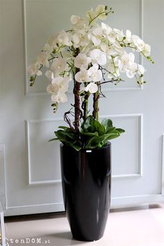 a black vase filled with white flowers on top of a counter next to a door