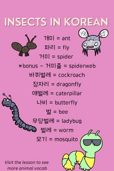 an image of insects in korean with the words insects in korean and english on it