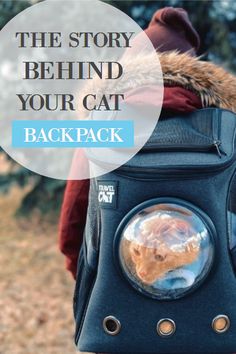 a cat in a backpack with the words, the story behind your cat backpack