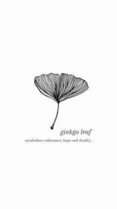 a black and white drawing of a flower with the words ginko leaf on it