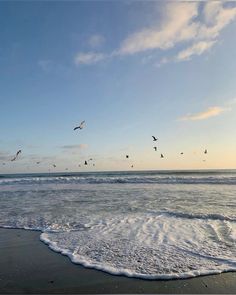 seagulls flying over the ocean on a beach at sunset with waves coming in