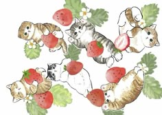 cats and kittens with strawberries in the shape of hearts