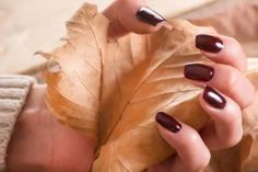 Want to get the best fall vibes with your nails ? Then you are absolutely at the right place. In this article I have gathered 14 best fall nail colors for fair skin tones. These fall nail colors are classy,...Read the Post Holiday Nails Thanksgiving, Talon Nails, Autumn Manicure, Shiny Nails Designs, Background Autumn, Holiday Nails Winter, Woman Hands, Brown Nail Polish, Leaves Background