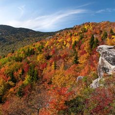 the trees are changing colors on the mountain side in this area that is covered with autumn foliage