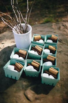 there are many small trays that have food in them on the ground next to a potted plant