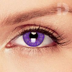 iD Lenses Violet Coloured Contacts Red Contacts Lenses, Natural Contact Lenses, Red Contacts, Green Colored Contacts, Hazel Color, Contacts Lenses, Wolf Colors, Cat Eye Colors