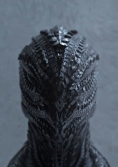 a close up view of an animal's head in black and white photo with water droplets on it