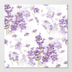 purple flowers on white background canvas print