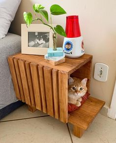 an orange cat sitting on top of a wooden table next to a plant and pictures