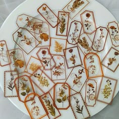 a white plate topped with lots of different types of flowers and leaves on it's sides