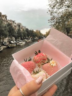 a hand holding a box filled with donuts on top of a river side street