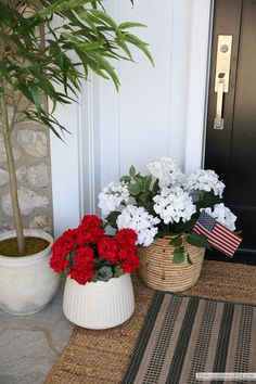 two potted flowers sitting next to each other on a mat near a door with an american flag