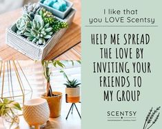 some plants are sitting on a table and there is a quote that says, i like that you love scenery help me spread the love by inviting your friends to my group