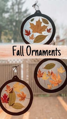 three fall ornaments hanging from a window with the words fall ornaments on them