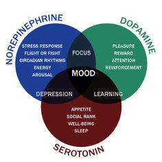 Brain Facts, Nutrition Sportive, Brain Chemistry, Venn Diagram, Burn Out, Mental And Emotional Health, Psychiatry, Health Info, Brain Health