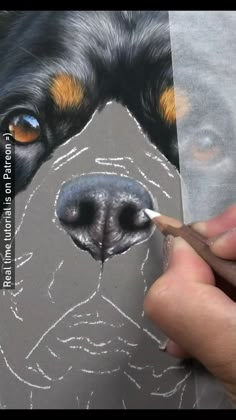 someone is drawing a dog's face with colored pencils