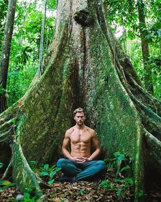 Méditation sous un arbre majestueux Yoga Inspiration Photos, Meditation Photos, Yoga Photoshoot, Meditation Scripts, Meditation Poses, Yoga Aesthetic, Yoga Mom, Beach Yoga