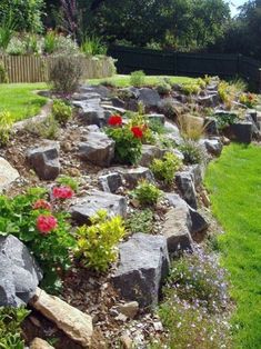 an image of a garden with rocks and flowers in the foreground, on instagram