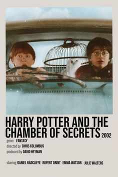 the poster for harry potter and the chamber of secrets, featuring two children in a car