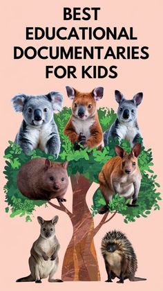 the best educational documentation for kids with pictures of different animals and trees on it's cover