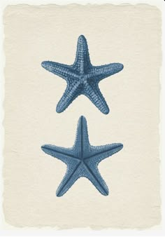 two starfishs are shown in blue and white