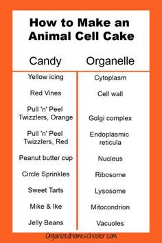 how to make an animal cell cake with oranges and crayons on it